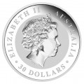 1 KILO SILVER KOOKABURRA 2010